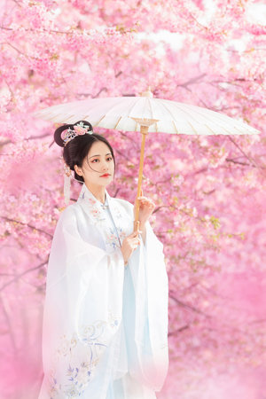 《妻子6》在线观看免费版电视剧
